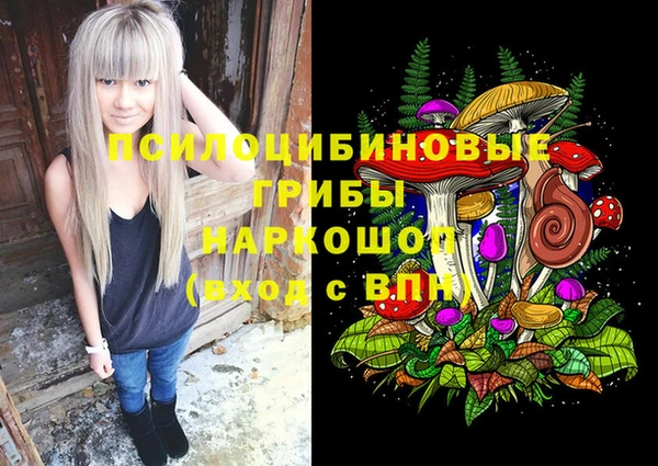 Альфа ПВП Алексин