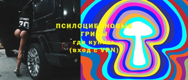 PSILOCYBIN Алексеевка
