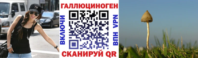 Галлюциногенные грибы Psilocybine cubensis  даркнет сайт  Мирный 